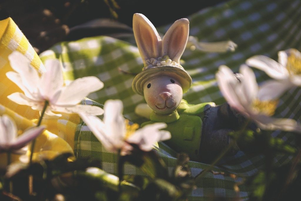 Easter Easter Bunny Spring  - suju-foto / Pixabay