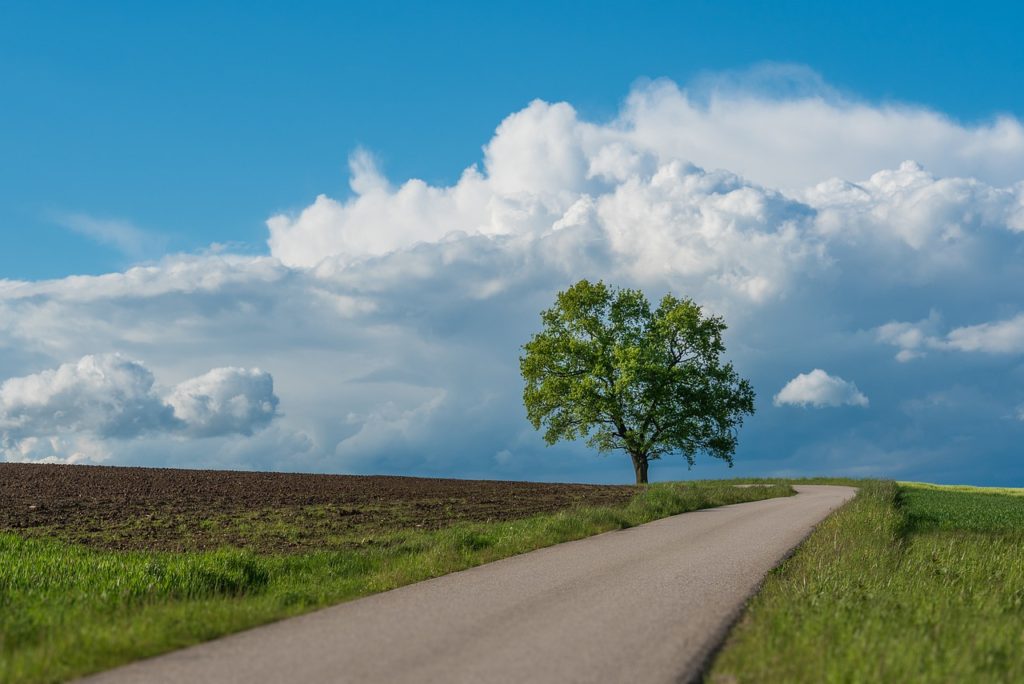 Landscape Clouds Sky Tree Road  - Franz26 / Pixabay