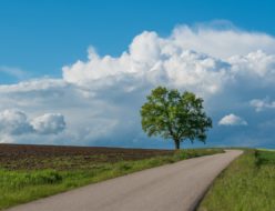 Landscape Clouds Sky Tree Road  - Franz26 / Pixabay